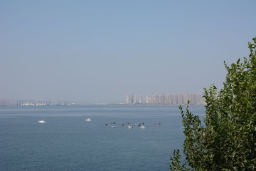 LSC_0578