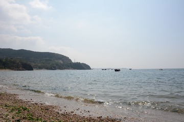 LSC_0591