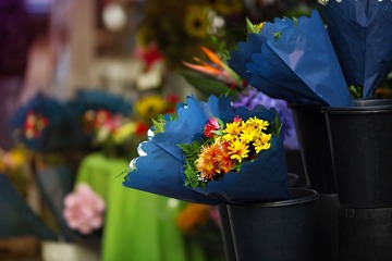 _MG_0575.JPG