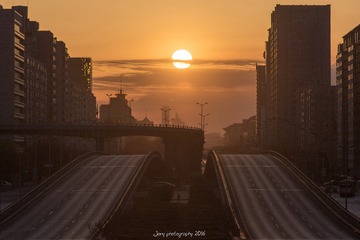 DSC_8308_1_1