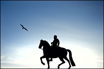 IMG_1409-7