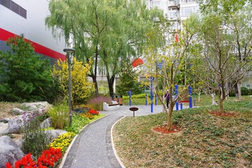 SDIM1534