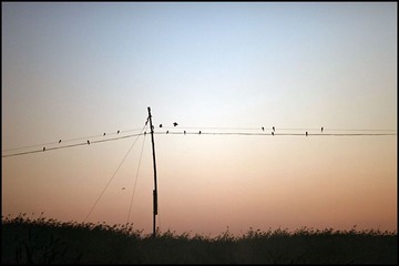 IMG_4007g