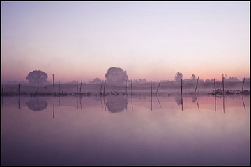 IMG_4011g