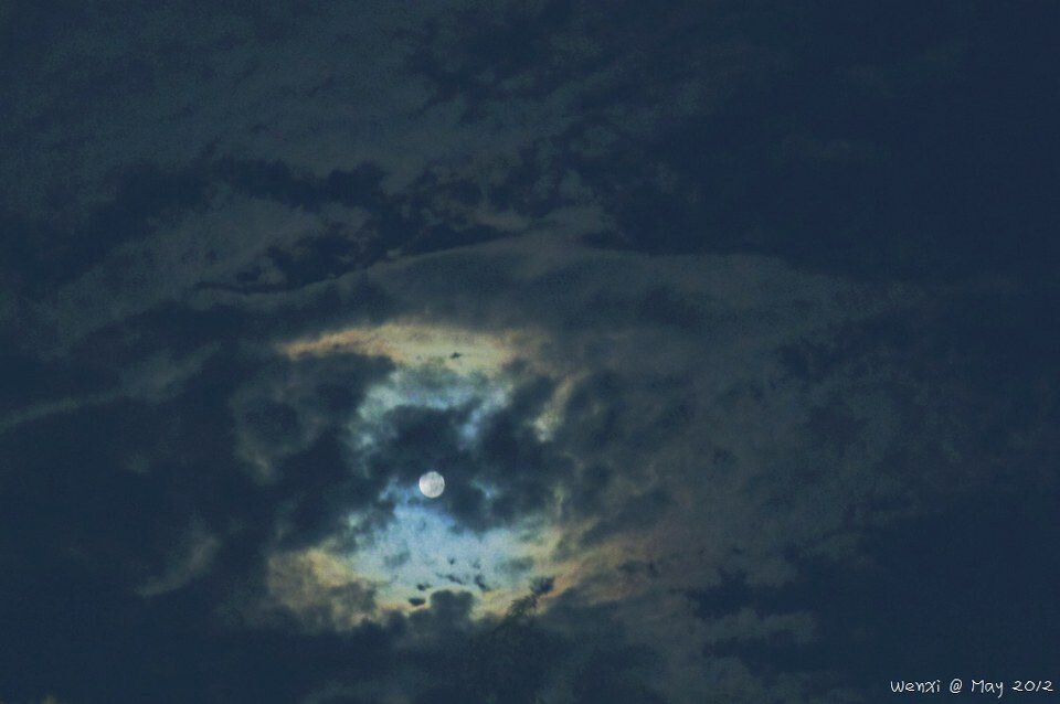 夜云3<br />
鱼