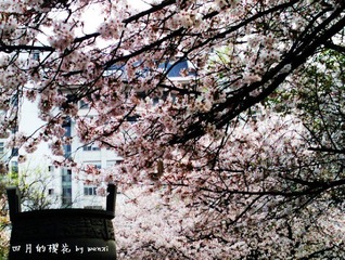 IMAG0019