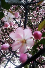 IMAG0027