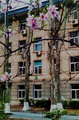 IMAG0031