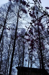 IMAG0034