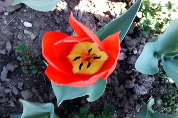 IMAG0080