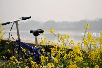 车2