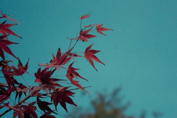 20141117-IMGP3255