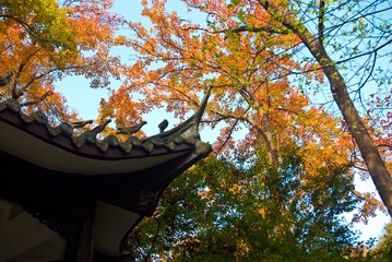 20141117-IMGP3282