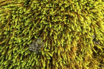 L1006057-23