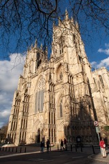 IMG_5974.jpg