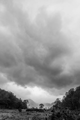 IMG_6593.jpg