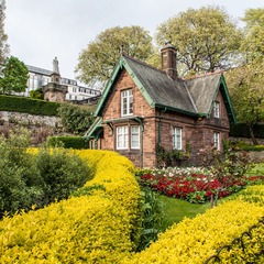 IMG_6956.jpg