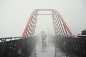 风雨同路