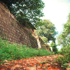 IMGP1096X