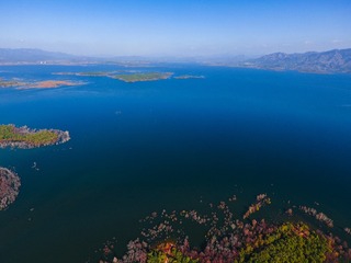 魔都水果店