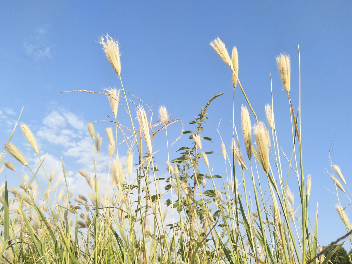 无谓悲伤,一切向阳