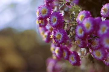 _IMG8582