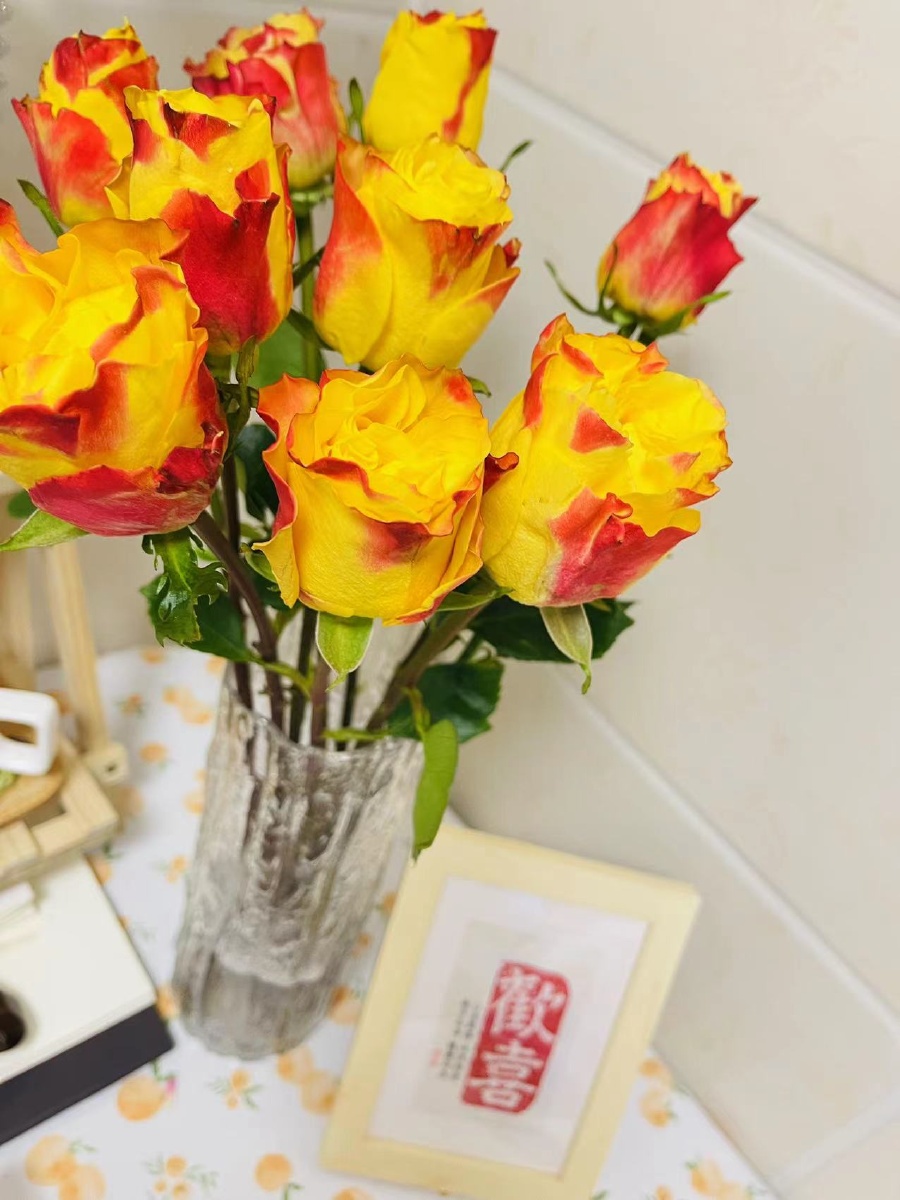 胜利女神玫瑰像番茄炒蛋笑脸对于改变而言理智提供方向情感提供动力