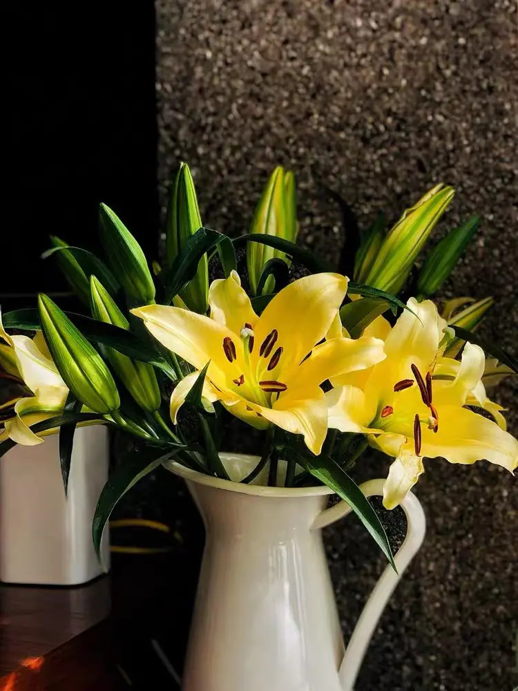 多头金砖百合对自己的未来人生负责尤其是对失败和挫折负责是一种勇气