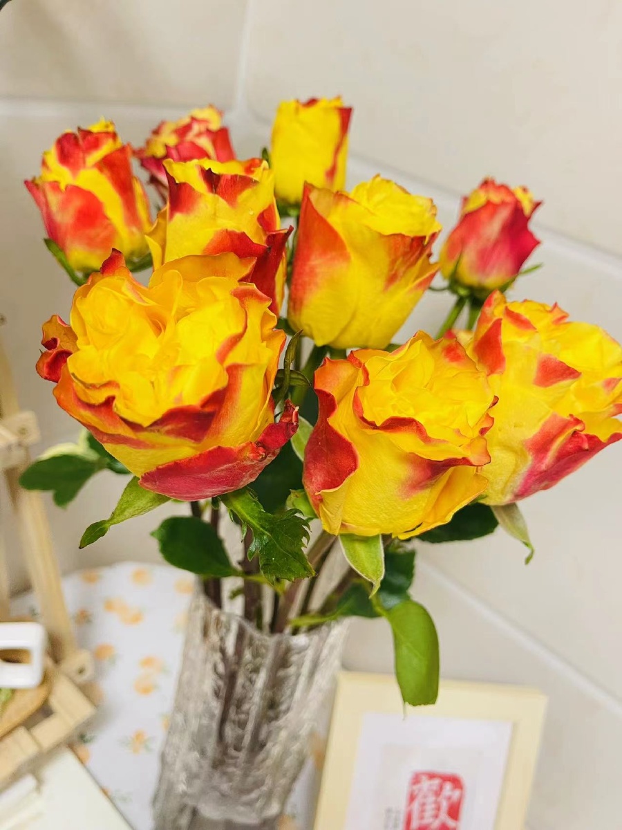 胜利女神玫瑰像番茄炒蛋笑脸对于改变而言理智提供方向情感提供动力