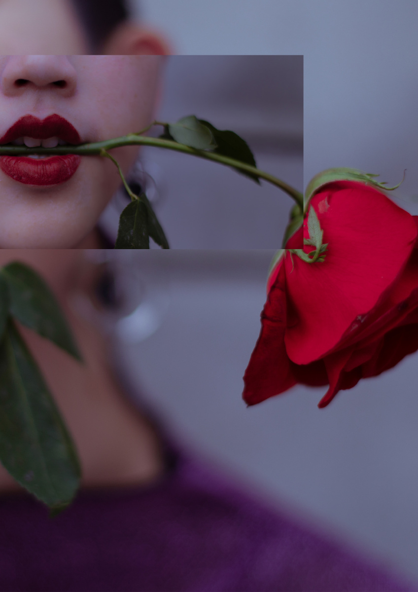 玫瑰与枪rosenguns