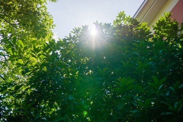DSC00121-2