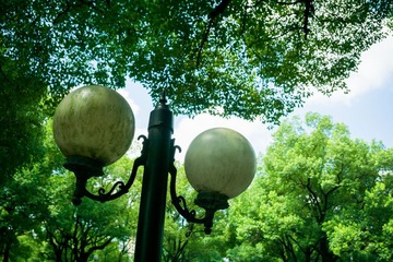 DSC00163-3