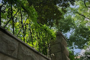 DSC00204-1
