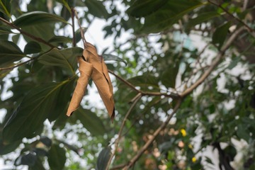 DSC01338-11
