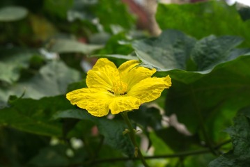 DSC01346-15
