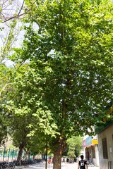 DSC02201-12
