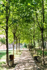 DSC02205-13