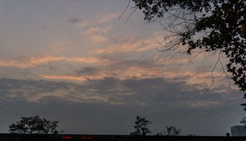 DSC02317-2