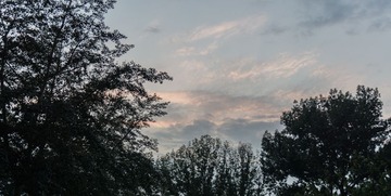 DSC02320-3