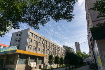 DSC02420-5