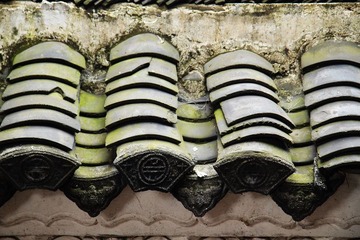 IMG_2300.JPG