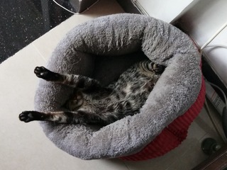 1808670
