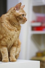 20120627-IMG_3865.jpg