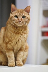 20120627-IMG_3874.jpg