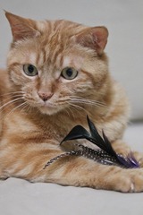 20120627-IMG_3897.jpg