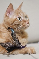 20120627-IMG_3907.jpg