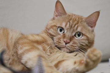 20120627-IMG_3908.jpg