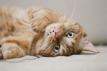 20120627-IMG_3910.jpg