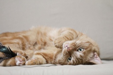20120627-IMG_3913.jpg