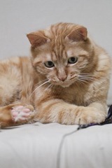 20120627-IMG_3924.jpg